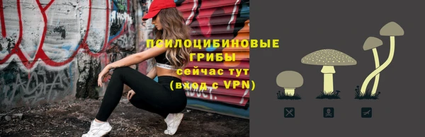 спайс Нягань