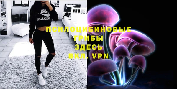 jwh Новозыбков