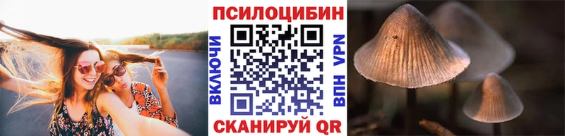 Псилоцибиновые грибы Cubensis МЕГА как зайти Лукоянов
